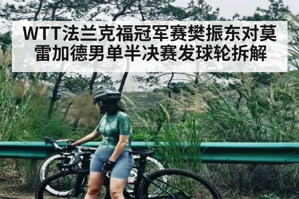 WTT法兰克福冠军赛樊振东对莫雷加德男单半决赛发球轮拆解